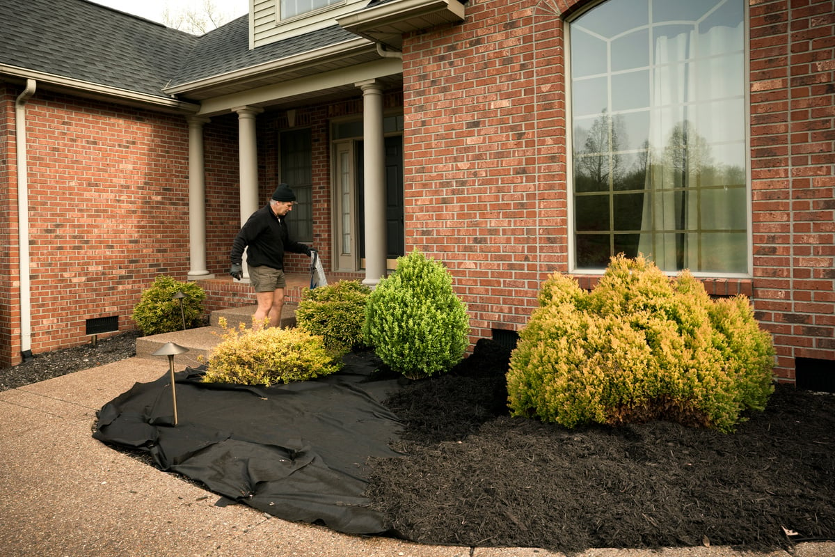 Man replacing mulch in front yard