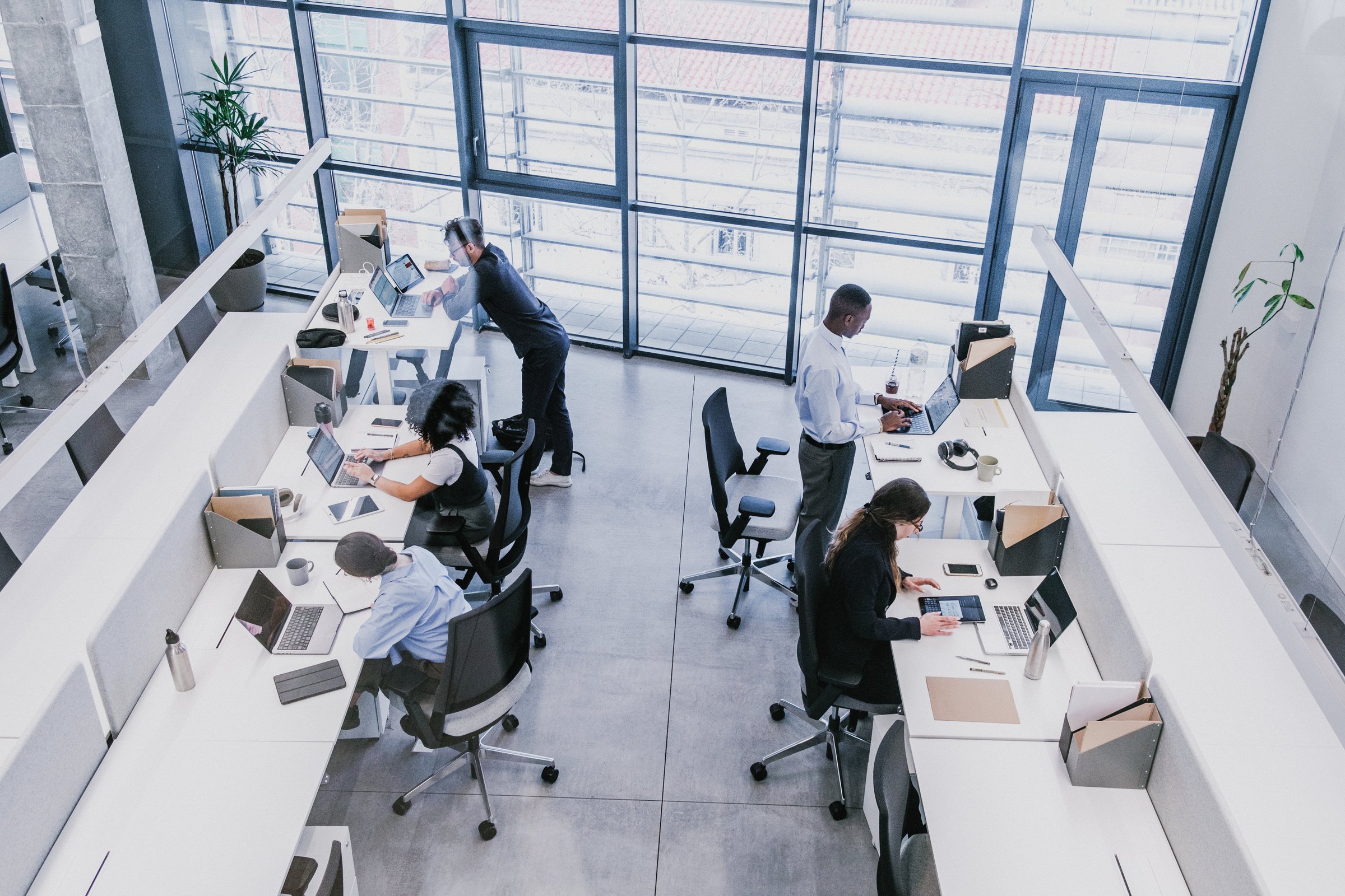 Cool Corporate View of Employees in an Office